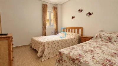 Apartment in Formentera del Segura photo 17