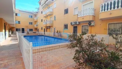 Apartment in Formentera del Segura photo 5