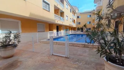 Apartment in Formentera del Segura photo 6