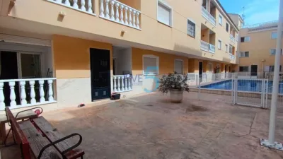 Apartment in Formentera del Segura photo 9