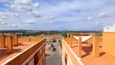 Apartment in Formentera del Segura photo 25