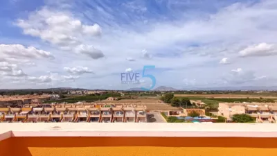 Apartment in Formentera del Segura photo 26