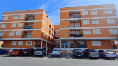 Apartment in Formentera del Segura photo 6