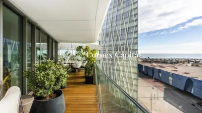 Apartment in Passeig del Taulat photo 5