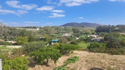Rustic Finca in Centro photo 3