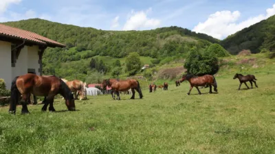 Casa en venta en Jaunsarás - Jauntsarats, Jaunsarás - Jauntsarats (Basaburúa) de 650.000 €
