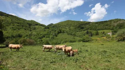 Casa en venta en Jaunsarás - Jauntsarats, Jaunsarás - Jauntsarats (Basaburúa) de 650.000 €