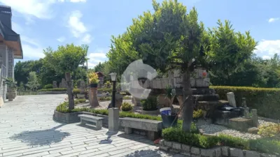 House on La Castellana photo 12