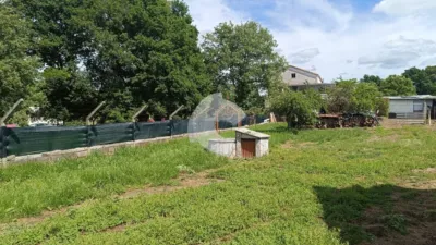 House on La Castellana photo 13