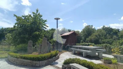 House on La Castellana photo 7