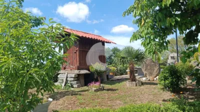 House on La Castellana photo 9