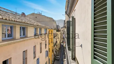 Duplex in Carrer de les Ferreries Velles photo 5