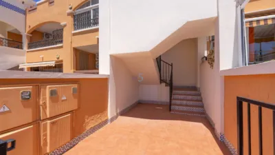 Apartment in Los Altos photo 11