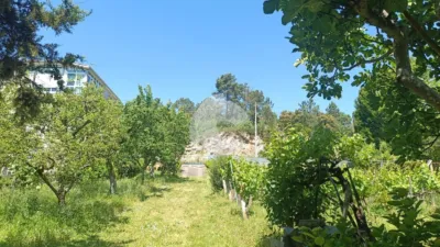 House in Cabeza de Vaca photo 10