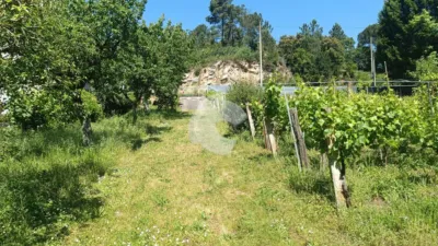 House in Cabeza de Vaca photo 32