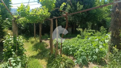 House in Cabeza de Vaca photo 5