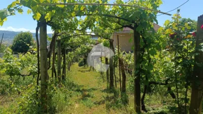 House in Cabeza de Vaca photo 8