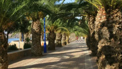 Casa unifamiliar en Murcia, Mazarrón, Puerto de Mazarrón photo 24