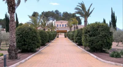 Luxury Villa in Alicante Province photo 4