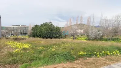 Terreno en venta en Parc Bit, Establiments (Distrito Nord. Palma de Mallorca) de 625.700 €