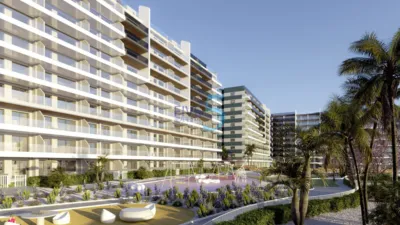 Pis – Orihuela - Vista 5