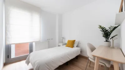 Apartment in Las Tablas photo 7