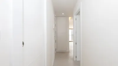 Penthouse in Calvario Zone photo 29