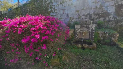 House in Moraña photo 51