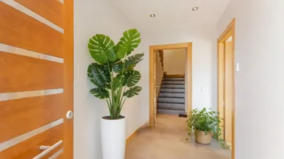 House on Haizea Street, No. 5 photo 7