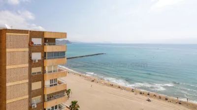 Penthouse in El Campello Playa photo 41