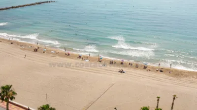 Penthouse in El Campello Playa photo 42