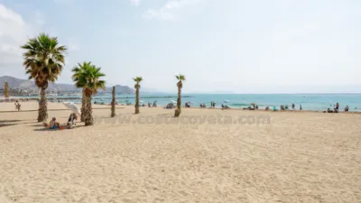 Penthouse in El Campello Playa photo 48