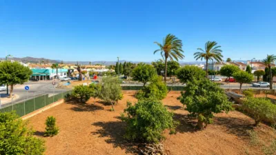 House on Calle de la Jumilla, 9 photo 28