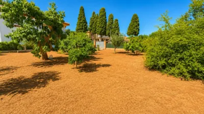 House on Calle de la Jumilla, 9 photo 32