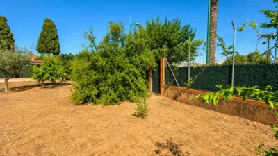 House on Calle de la Jumilla, 9 photo 34