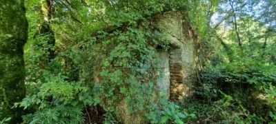 House in Forcarei photo 5