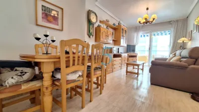 Pis – Guardamar del Segura, Urbanització Pinar de Guardamar - Més