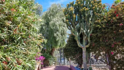 Penthouse in Cabopino-Reserva de Marbella photo 22