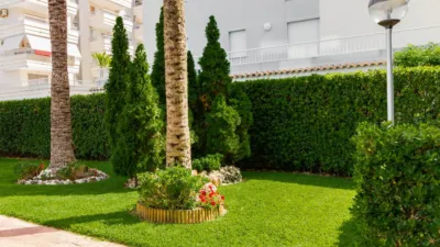 Piso en venta en Calle Cl Cont.Del Cl.Comtat, Número 10, Playa de Gandia (Gandia) de 330.000 €