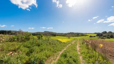 Finca rústica en venta en Sant Llorenç Des Cardassar, Sant Llorenç des Cardassar de 4.250.000 €