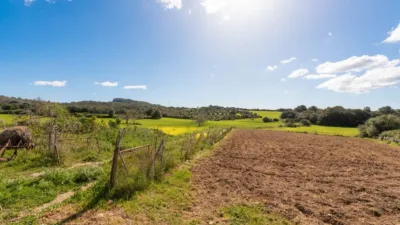 Finca rústica en venta en Sant Llorenç Des Cardassar, Sant Llorenç des Cardassar de 4.250.000 €