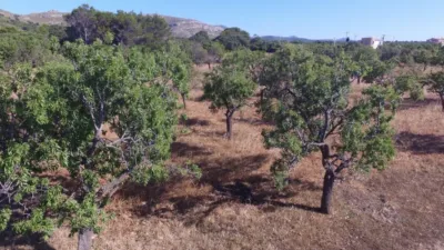 Finca rústica en venta en Colònia de Sant Pere, Colònia de Sant Pere (Artà) de 615.000 €