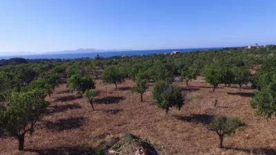 Finca rústica en venta en Colònia de Sant Pere, Colònia de Sant Pere (Artà) de 615.000 €