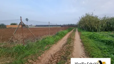 Rustic Finca in Playa de las Tres Piedras-Costa Ballena photo 6