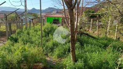 House in O Pino photo 17