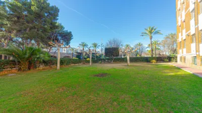 Apartment Near Sitges Train Station photo 29