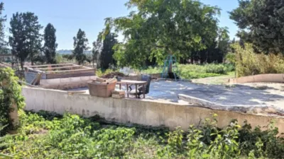 House in El Campo with 3 Separate Units in Cas Concos photo 4