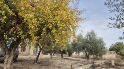Semi-detached House in Cordovilla-Tobarra, with Plot of approx. 700m² photo 32