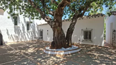 Casa – Dénia - Más