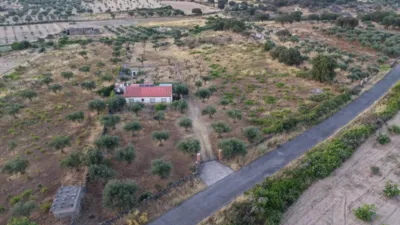 House with Pool in Alcuéscar photo 41